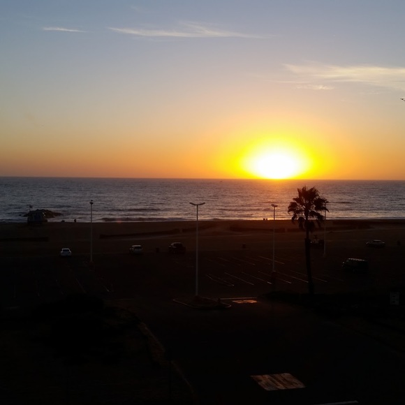 Meet your Posher, Xavi - Picture 1 of 1